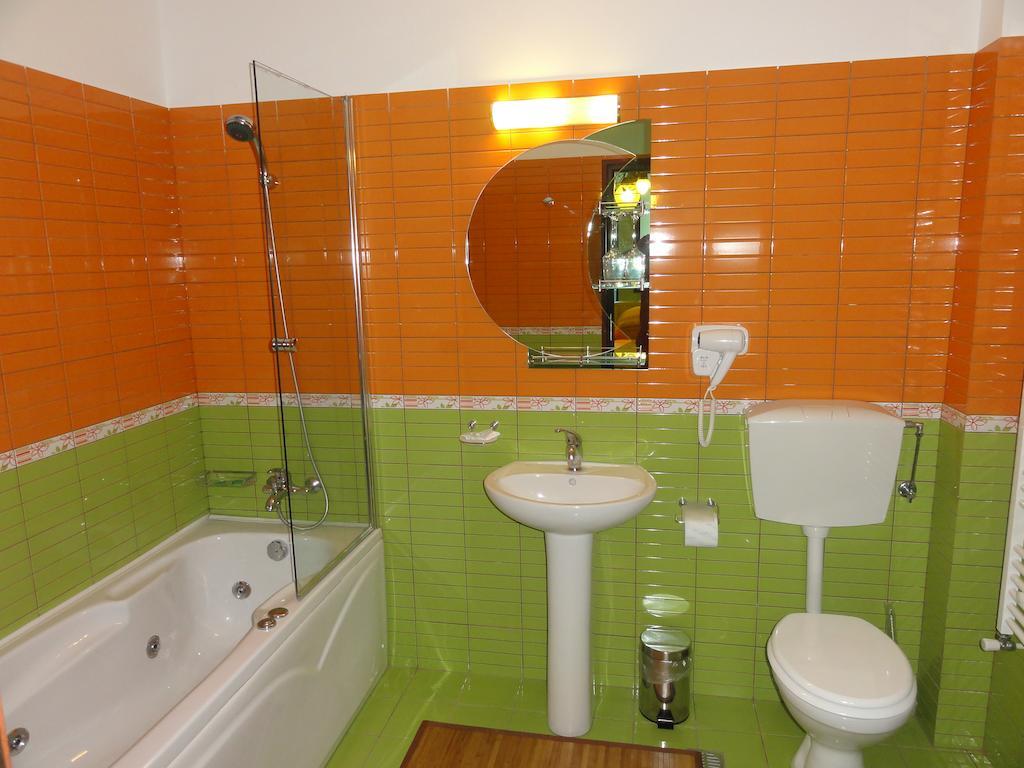 Vila Europa Sarata-Monteoru Room photo
